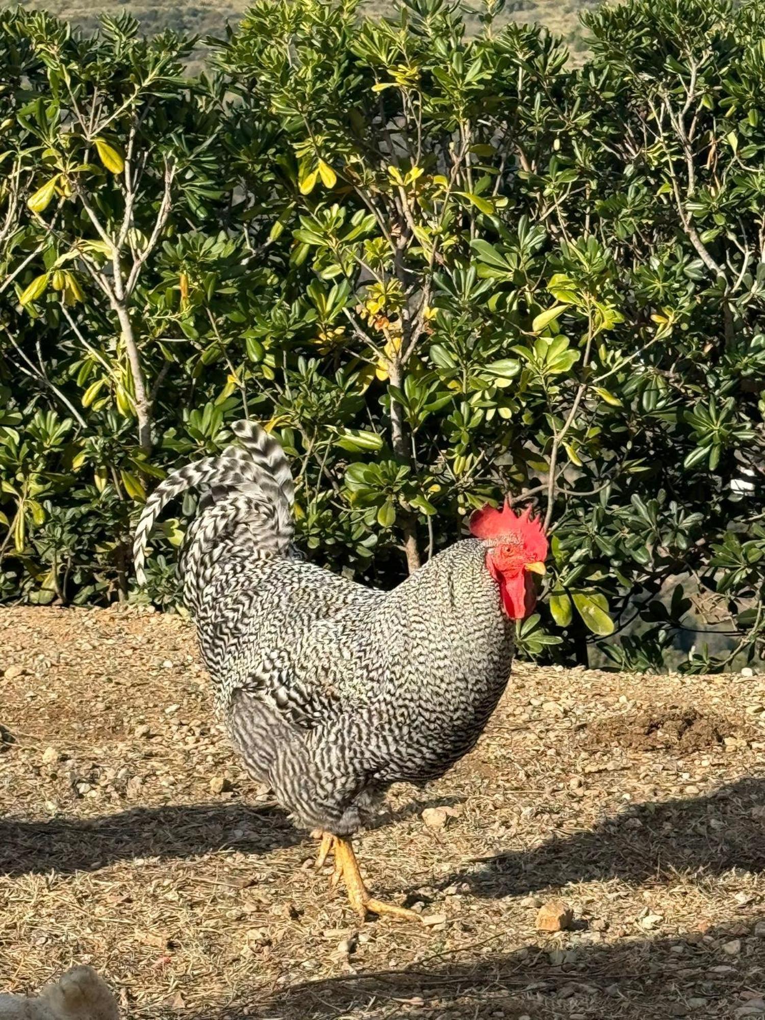 Fattoria Angolo Di Paradiso Monte Argentario Luaran gambar